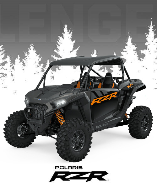 POLARIS RZR