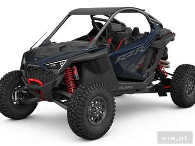 RZR PRO R ULTIMATE (R01)