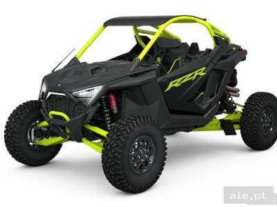 RZR PRO R ULTIMATE (R01)