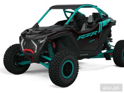 RZR PRO R ULTIMATE (R02)