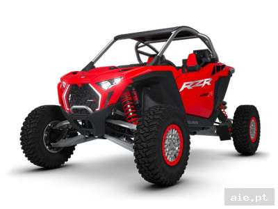 RZR PRO R ULTIMATE (R01)