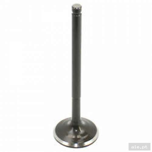 Part Number : 0452384 EXHAUST VALVE  - Peça Polaris