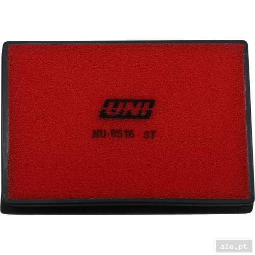 Part Number : 10112887 FILTRO DE AR RZR XP 900