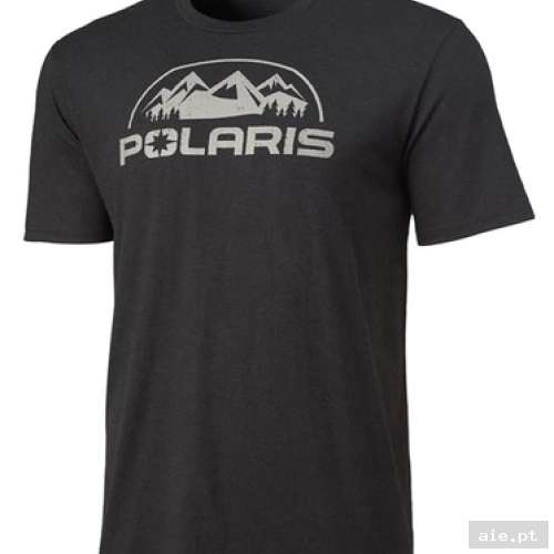 Part Number : 286157202 M CORE TEE BLK S  - Peça Polaris