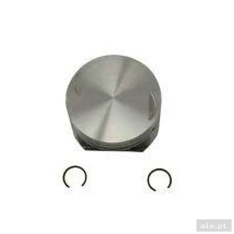 Part Number : 3090235 PISTON SET STD