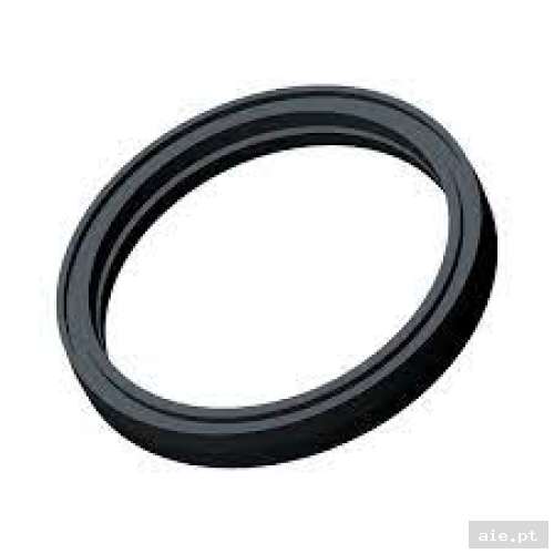 Part Number : 5413948 THERMOSTAT SEAL  - Peça Polaris