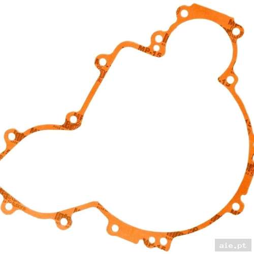 Part Number : 5813505 IGNITION COVER GASKET